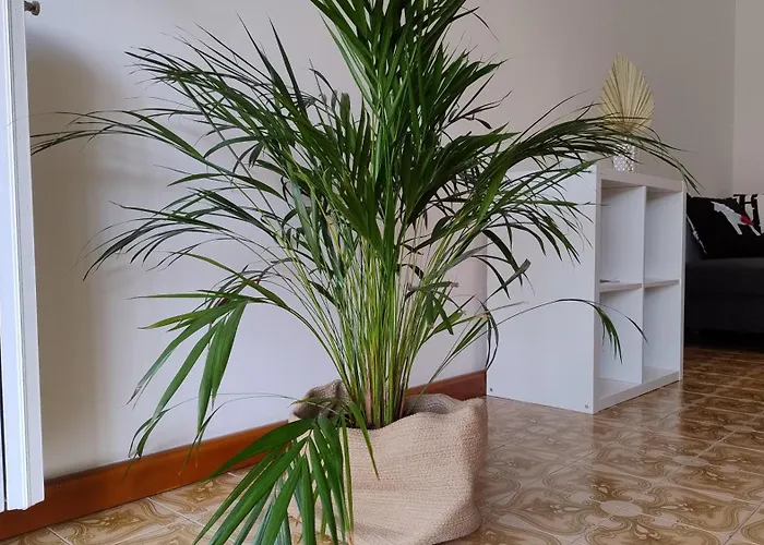 La Casa Di Giulia Apartamento *