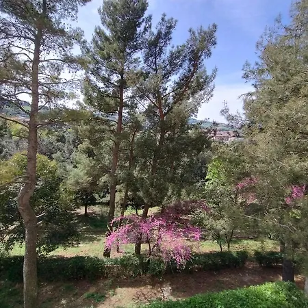 La Casa Di Giulia Apartamento Ancona