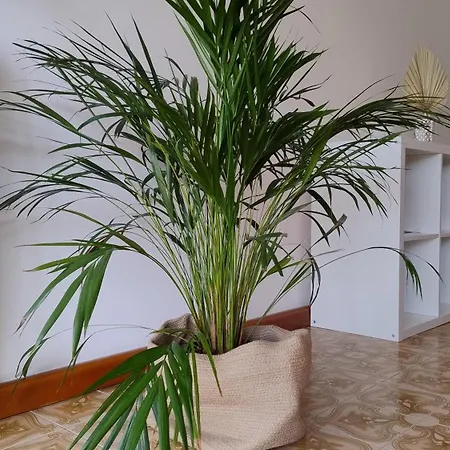 La Casa Di Giulia Apartment *